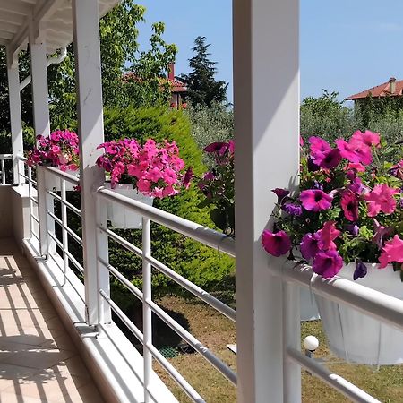 Tammy'S Garden House Leptokarya (Pieria) Exterior foto