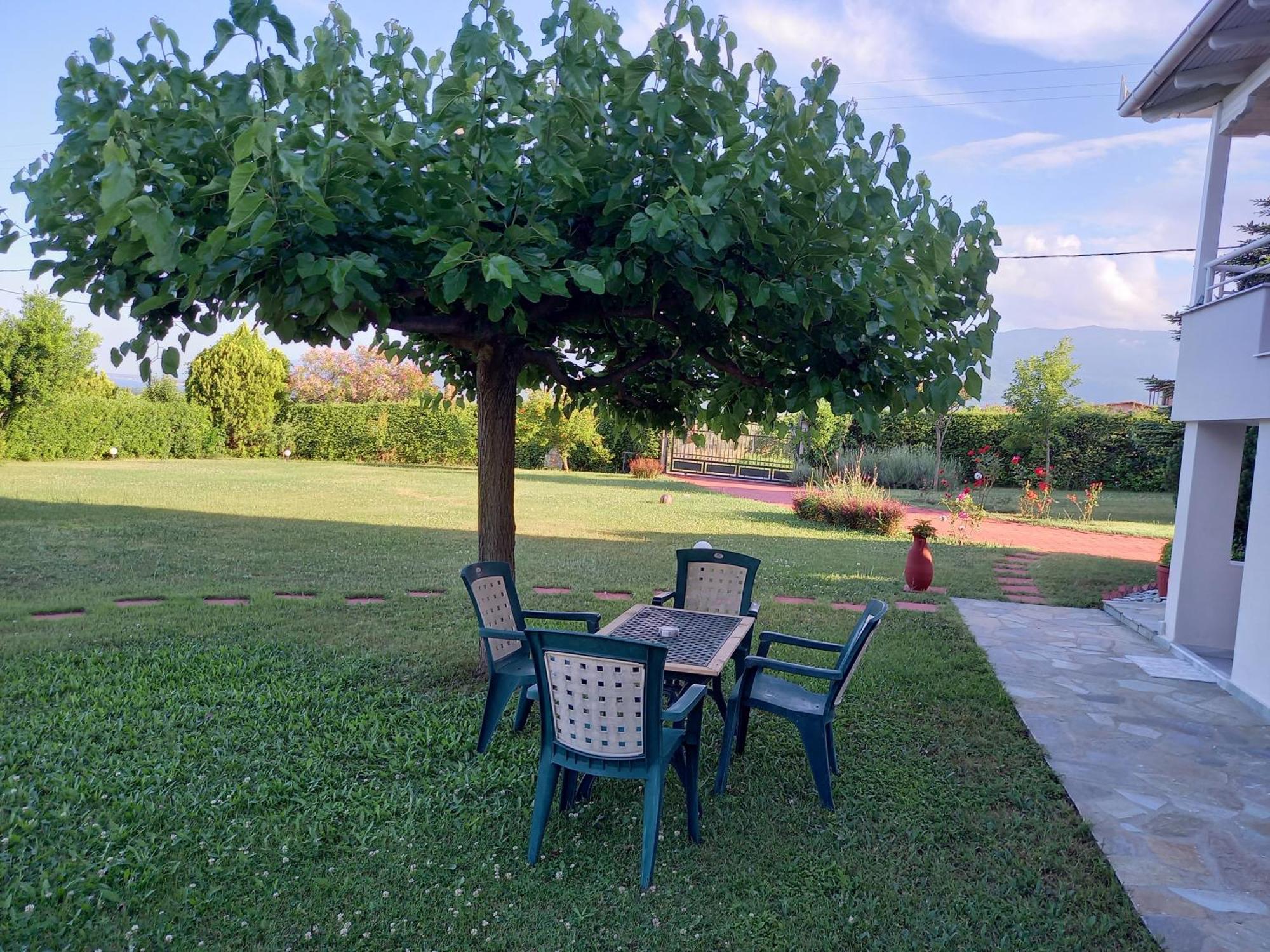 Tammy'S Garden House Leptokarya (Pieria) Exterior foto