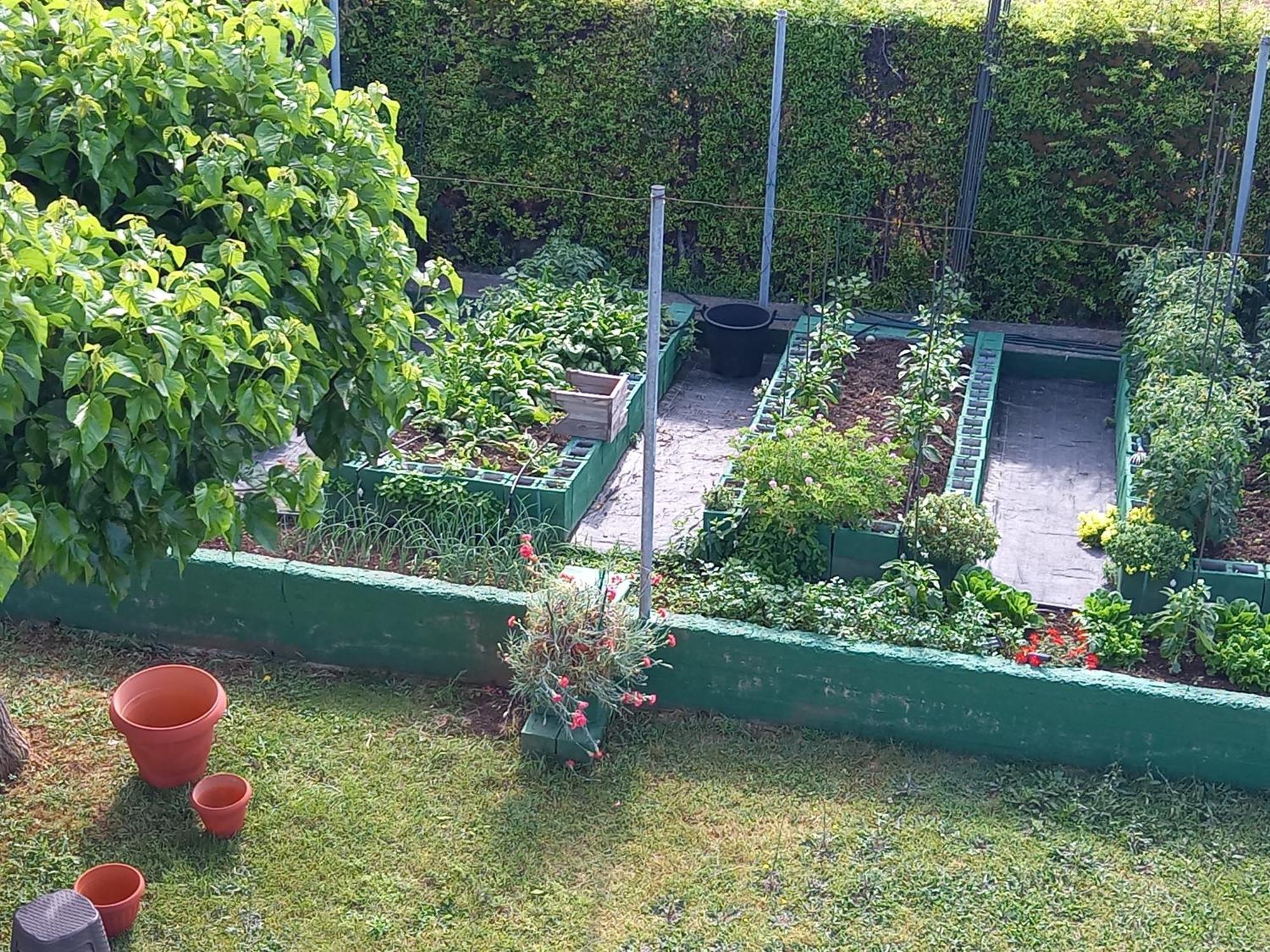Tammy'S Garden House Leptokarya (Pieria) Exterior foto