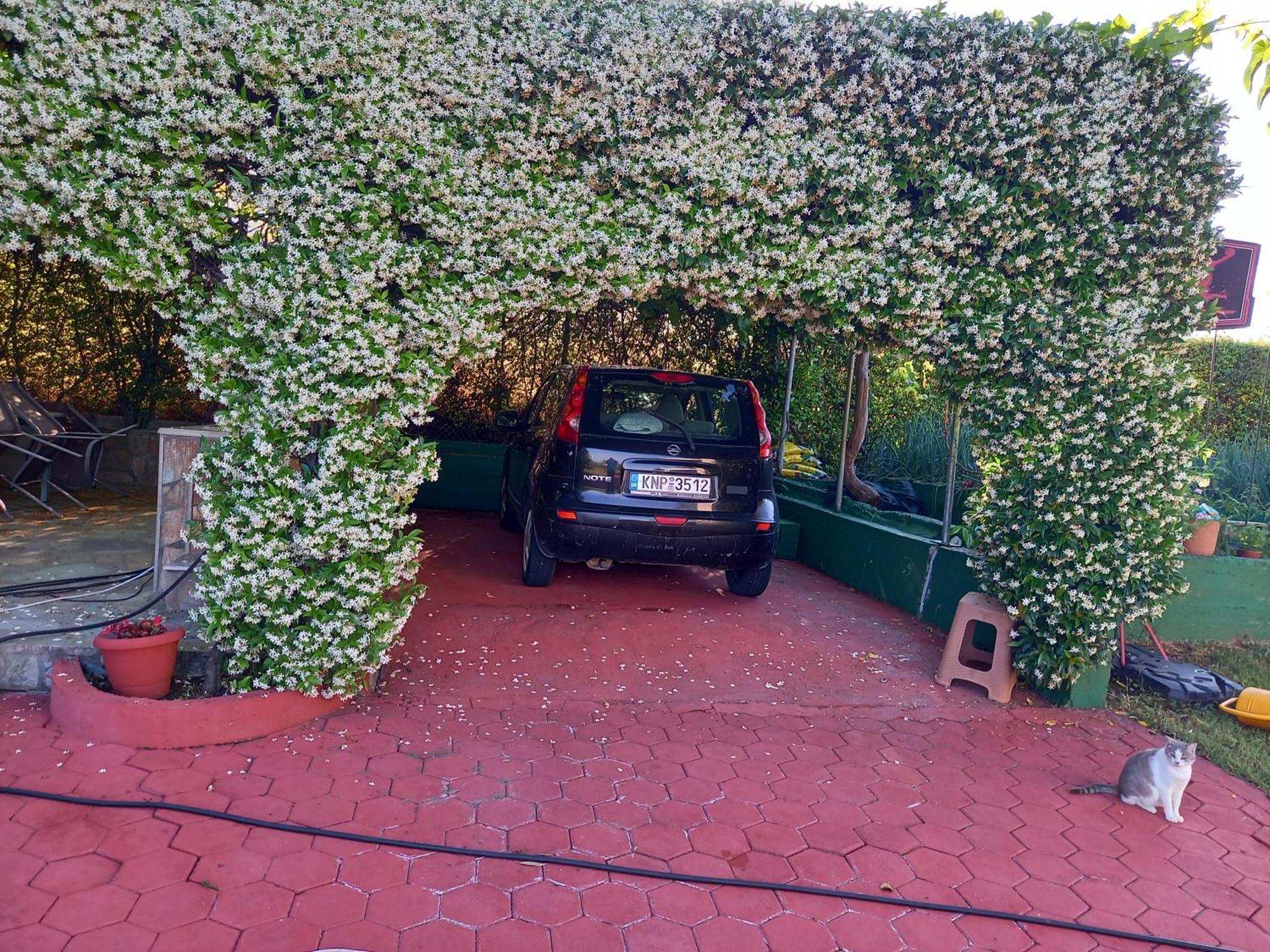 Tammy'S Garden House Leptokarya (Pieria) Exterior foto