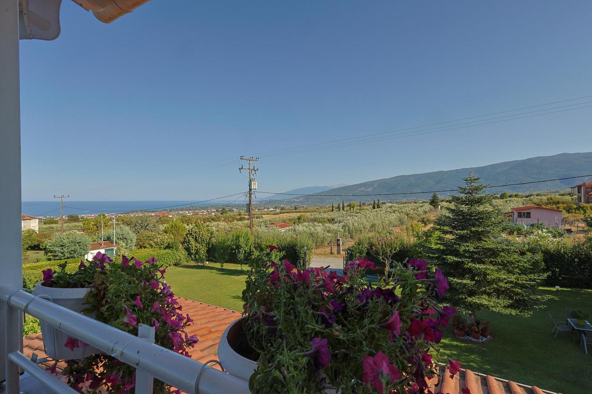 Tammy'S Garden House Leptokarya (Pieria) Exterior foto