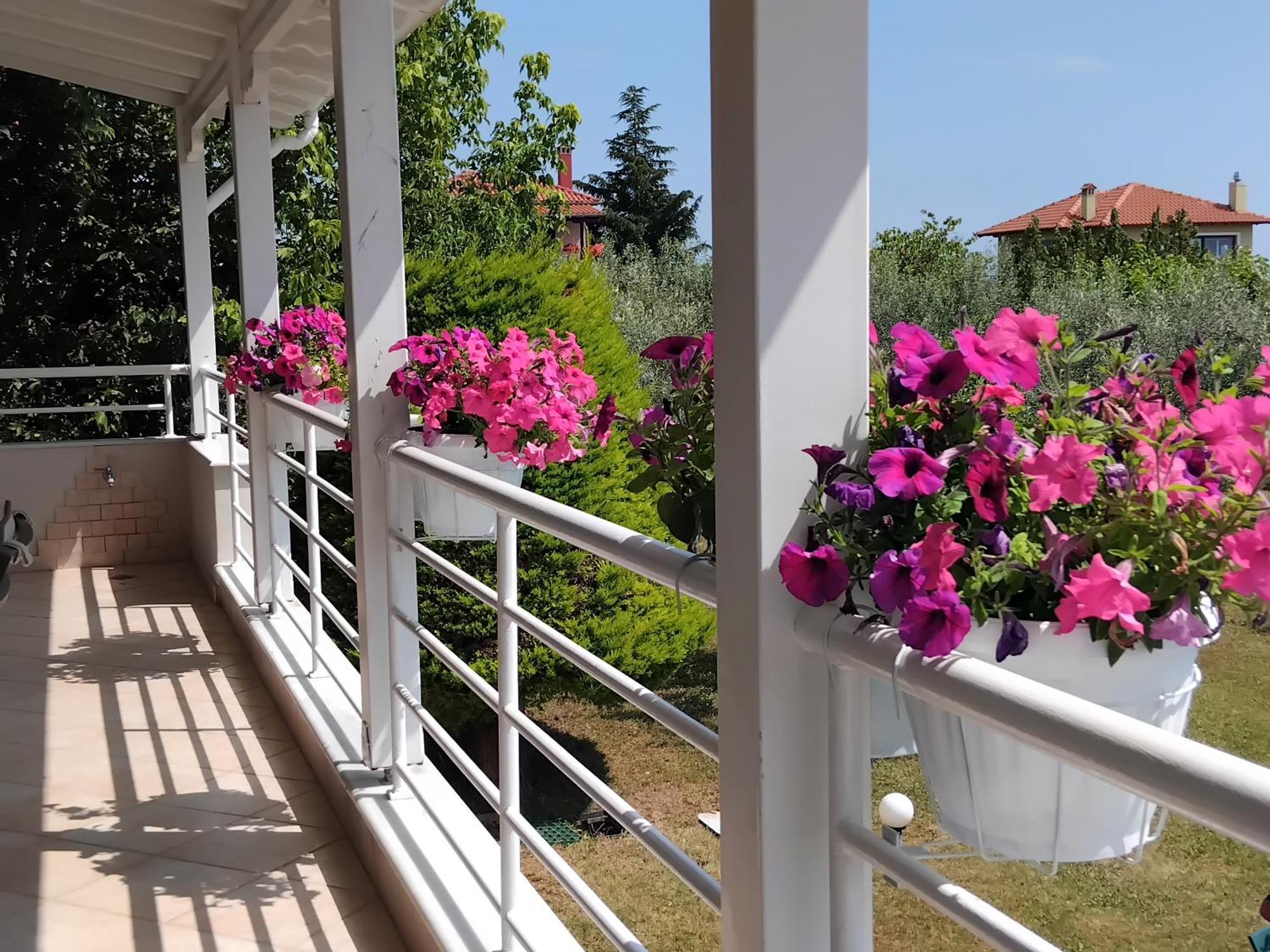 Tammy'S Garden House Leptokarya (Pieria) Exterior foto