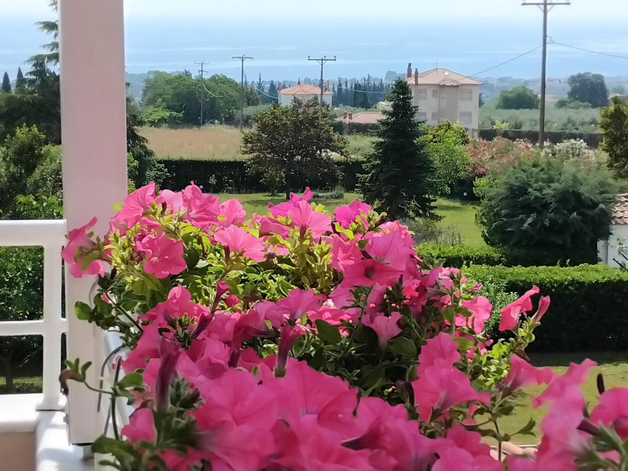 Tammy'S Garden House Leptokarya (Pieria) Exterior foto