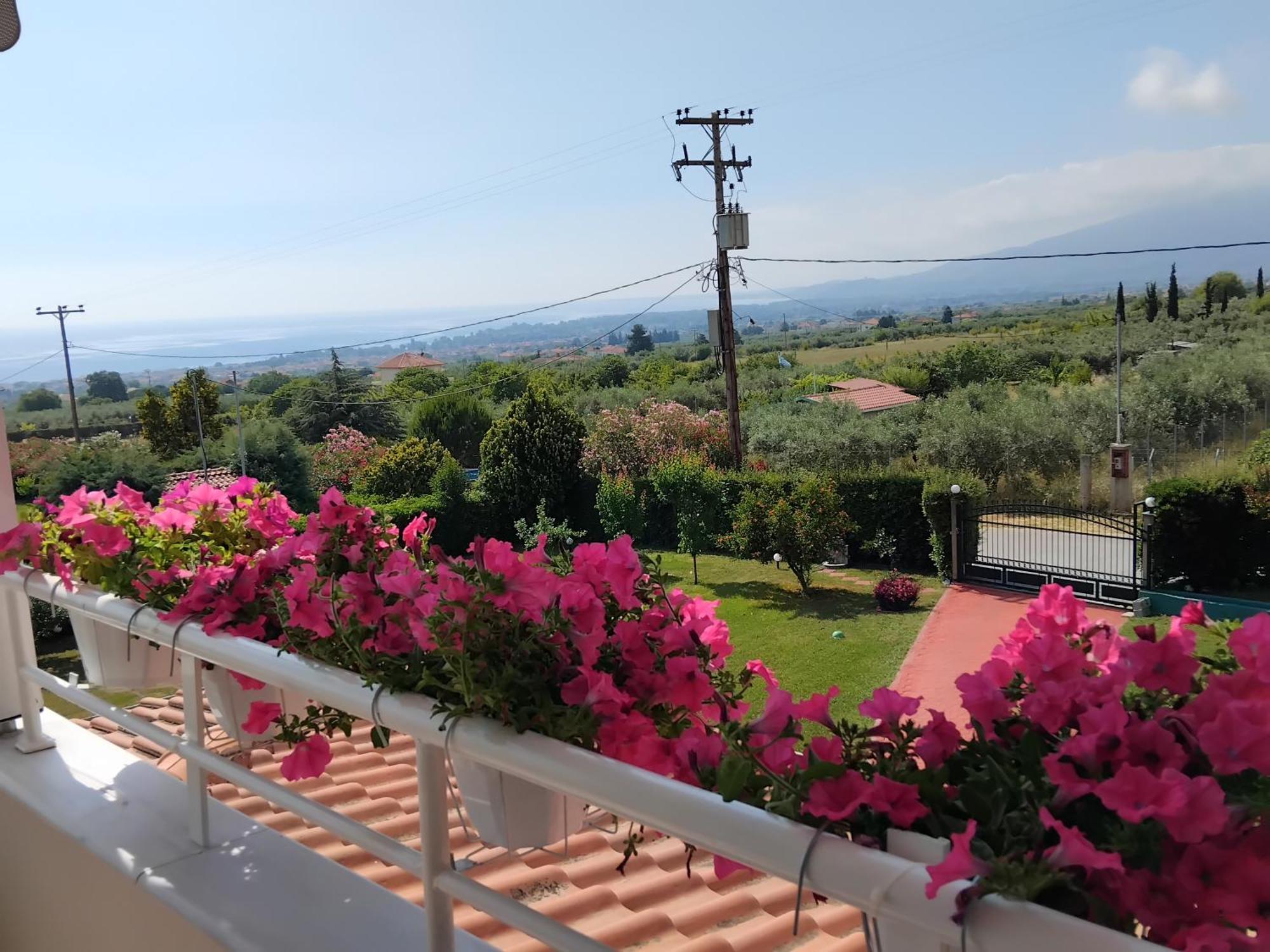 Tammy'S Garden House Leptokarya (Pieria) Exterior foto