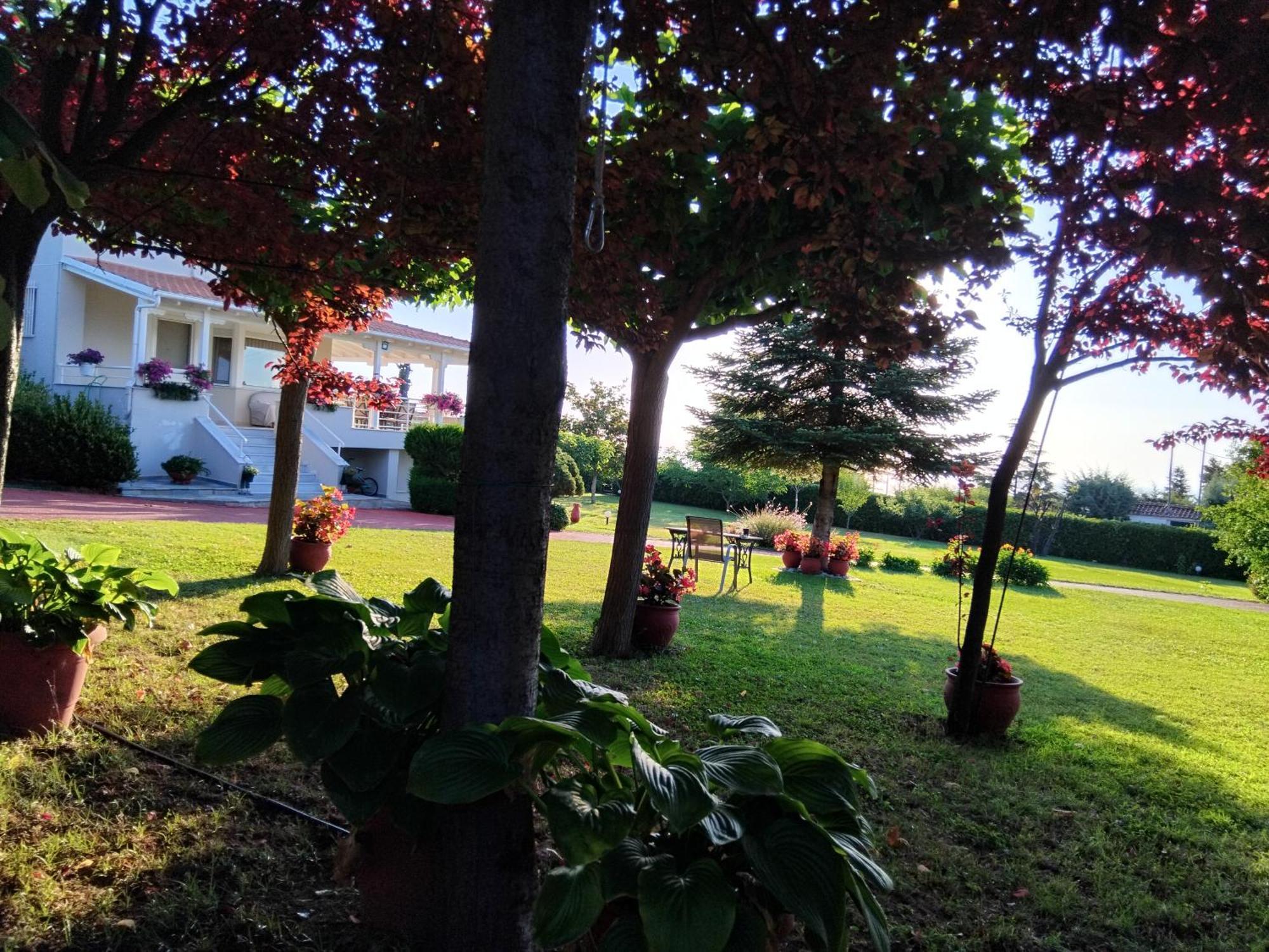 Tammy'S Garden House Leptokarya (Pieria) Exterior foto