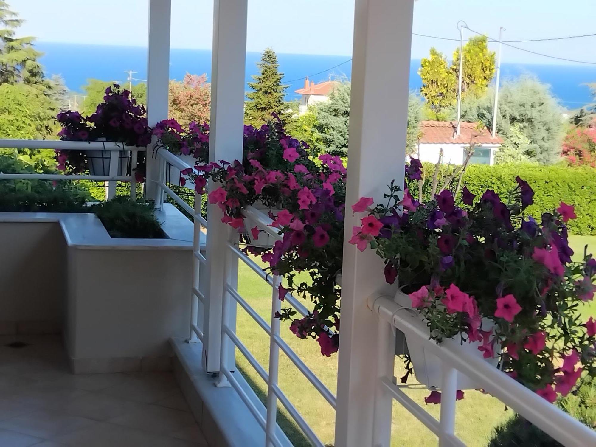 Tammy'S Garden House Leptokarya (Pieria) Exterior foto