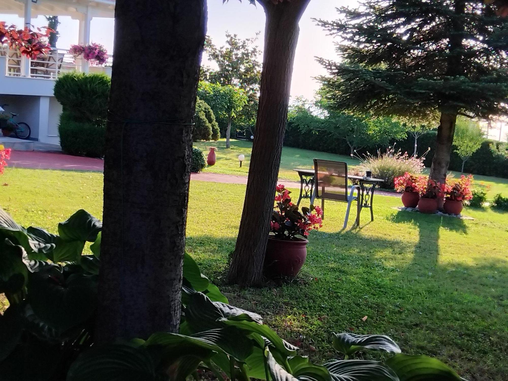 Tammy'S Garden House Leptokarya (Pieria) Exterior foto